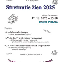 Stretnutie žišn DNS